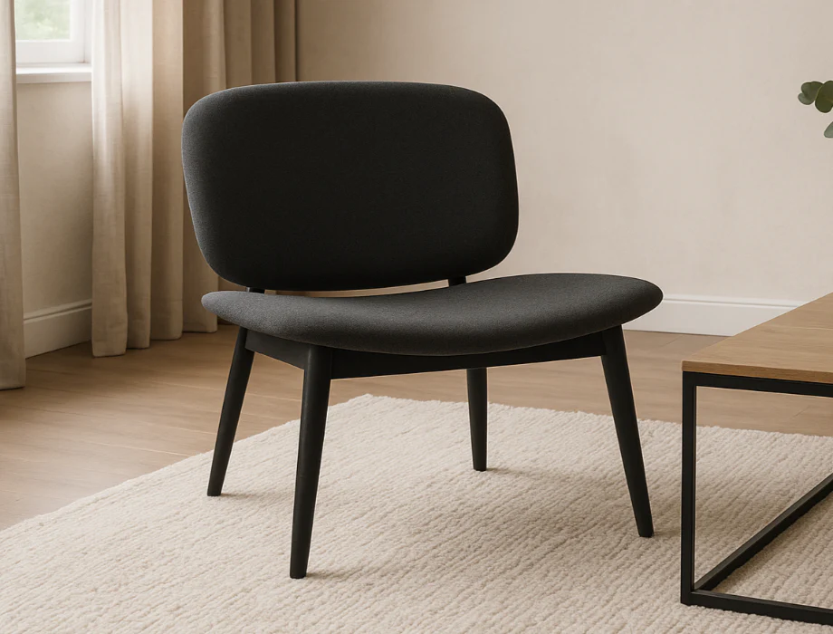 Modern lounge chair for home interiors