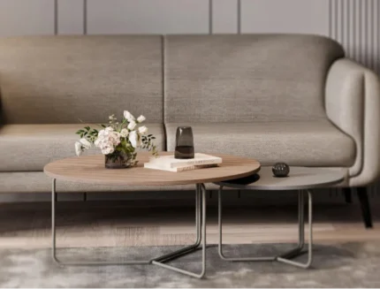 Modern Nesting Coffee Table Set